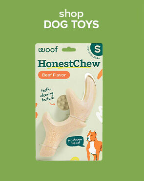 Dog Toys